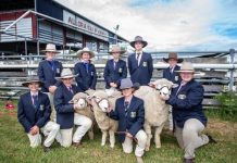 Shows play vital role