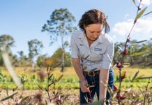 Cindy’s on a mission to help Burnett farmers succeed