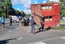 Crash adds to rates pain