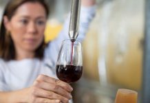 Young couple uncorks fruitful winemaking career