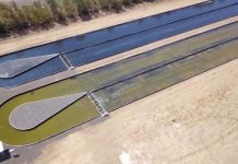 Goondiwindi algae farm scores important food grade certification in an Australian-first