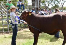 Fostering future leaders