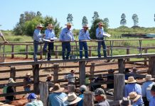 Celebrating 20 years