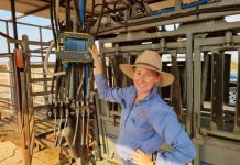 Investing in operational success with Black Box Co