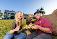 Camels shine at show