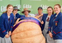 Gourd Almighty! Giant win