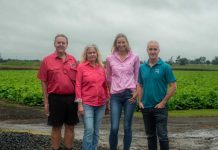 Education on a plate