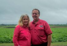 Australians lettuce all rejoice