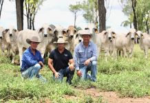 Vellas snap up ‘once in a lifetime’ sale