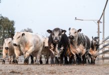 A fantastic opportunity