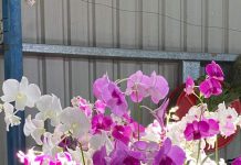 Show bigger and better