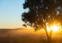 Landmark protection acquisition