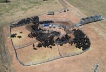 A great farming deal