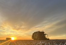A picture is worth a thousand words – new cotton competition dispelling myths