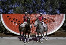 Chinchilla hosts nationals