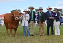 Seeya later Beef2024