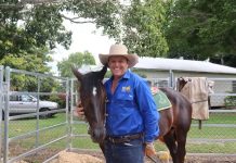 A passion for the saddle