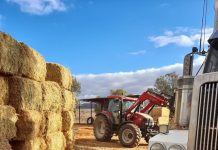 ‘All is not well on the farm’: Rural Aid CEO