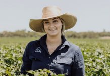 The top cotton achievers