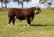 Hitting the sweet spot