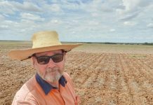 Deep phosphorus research