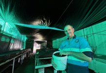 Scratching the surface