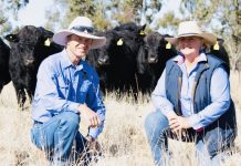 Commonsense approach