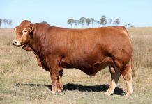 Highly anticipated sale