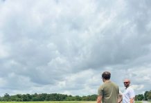 Hunger grows for hemp