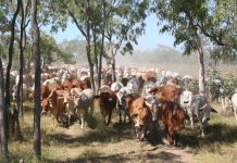 A rare, ‘bare’ opportunity