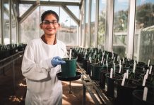 Sowing seeds of change