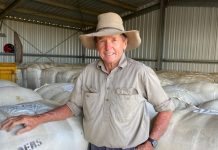 Live sheep export ban hits hard