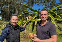 Something about Mary…