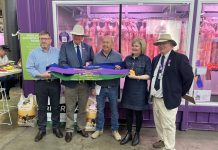 Bellevue shines at Ekka