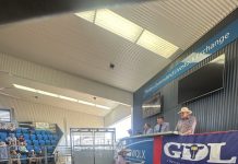 Top bull price hits $34,000