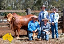 Bunya’s outstanding draft