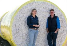 Cottoning on to our crops