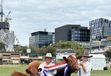 Country and city unite for Ekka