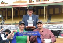 Glenisa Angus bred to last