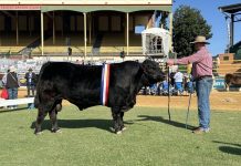 Record amount of genetics