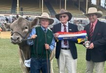 Millie makes her mark