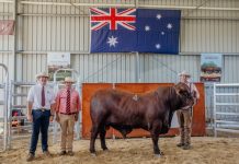 Sold out! NIOA, RL mark successful on-property return