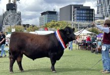 The true Power of Red