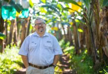 Don’t slip on banana biosecurity, it is crucial