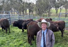 Santas add some weight