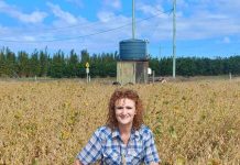 Tough crop for tough climate