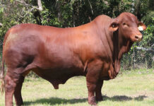 Vendor’s delighted by sale