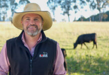 A revolutionary tool helps determine genetic potential