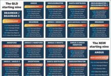 Breeds go head to head