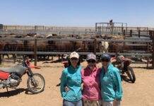 Education holds the key